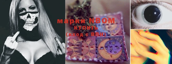 гашик Покровск