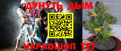 марихуана Кингисепп