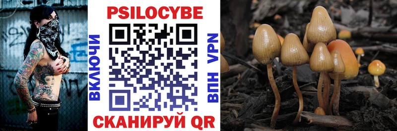 shop формула  Мичуринск  Псилоцибиновые грибы Magic Shrooms 
