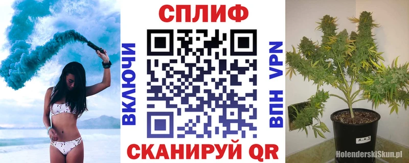 купить наркоту  Мичуринск  Конопля Amnesia 